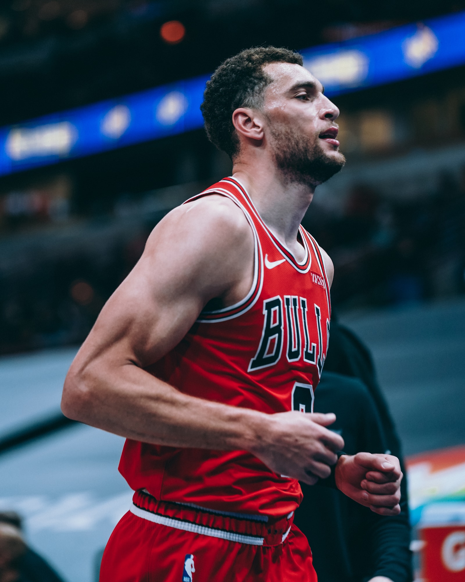 Zach LaVine vẫn muốn đồng hành cùng Chicago Bulls