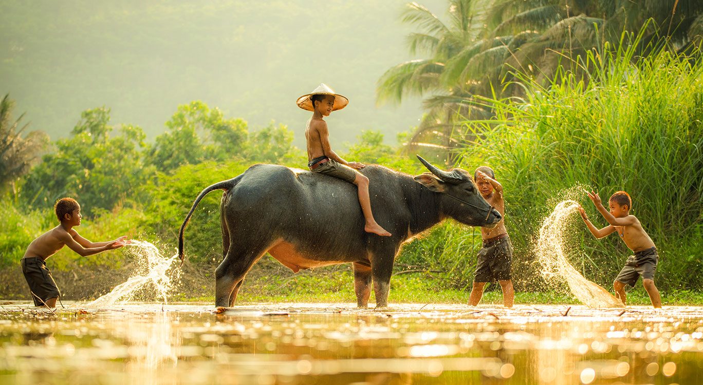 Con giáp tuổi Sửu